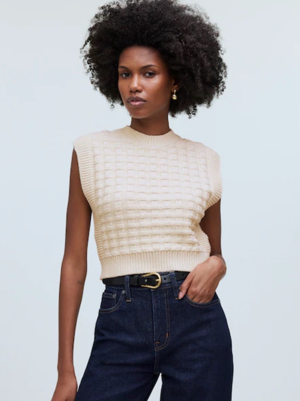 Madewell Checkered-Stitch Wedge Sweater Vest
